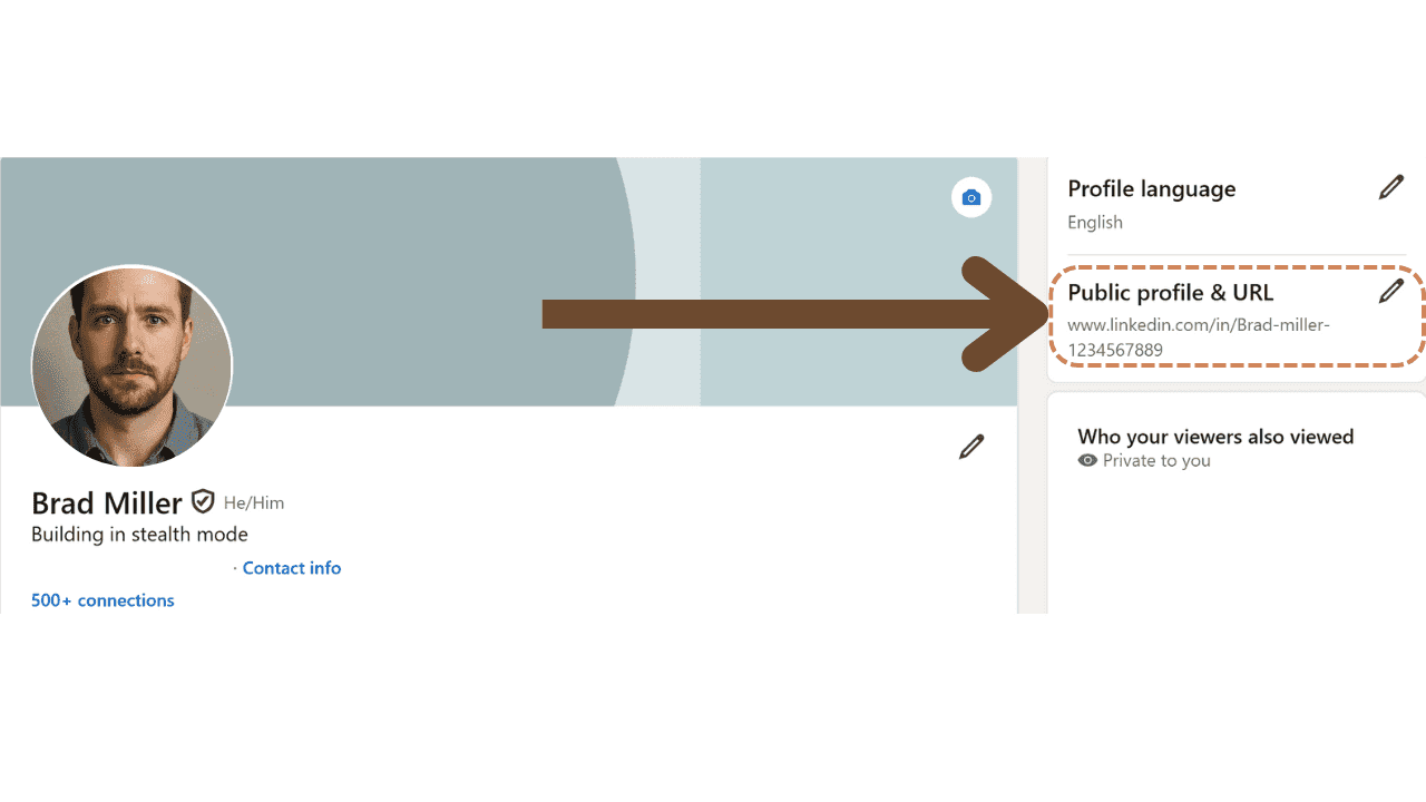 Illustration pointing towards Public profile and URL column in linkedin profile section