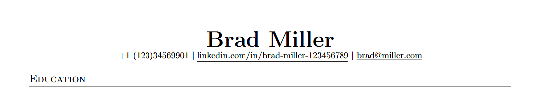 Kopfzeile im Lebenslauf